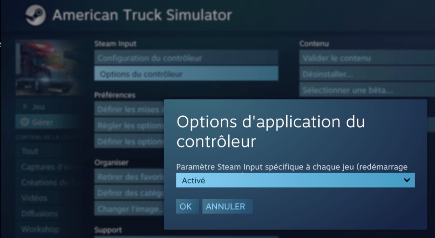 steam input